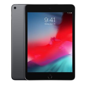iPad mini Wi-Fi + Cellular 256GB - Space Grey
