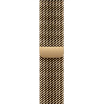 Watch Acc/40/Radiant Gold Milanese Loop