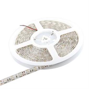 WE LED páska SMD50 5m 60ks/m 14,4W/m zelená ex
