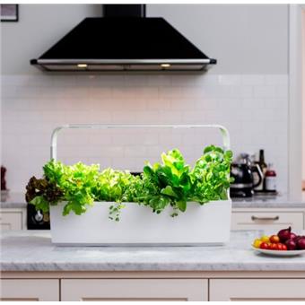 TREGREN T12 Kitchen Garden, chytrý květináč, bílý