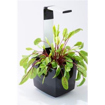 TREGREN T3 Kitchen Garden, chytrý květináč, černý