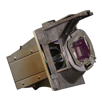 LAMP MODULE EW600/EW800ST