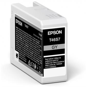 Epson Singlepack Gray T46S7 Ultrachrome