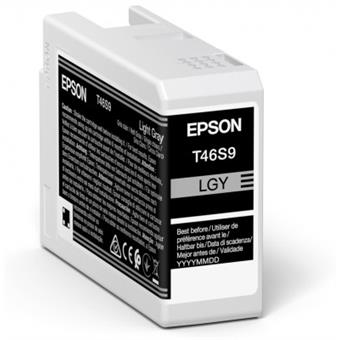 Epson Singlepack Light Gray T46S9 Ultrachrome
