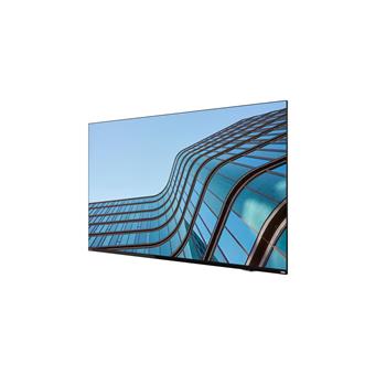 Lenovo ThinkViosion E55 54,6"/16:9/3840x2160/8ms