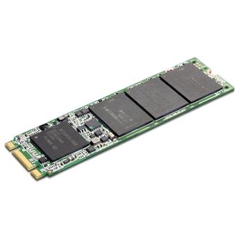 ThinkCentre/256GB/SSD/M.2 NVMe/1R