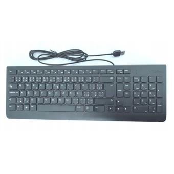 Lenovo Essential Wired Keyboard/Drátové USB-A/CZ/SK/Černá